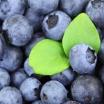 manfaat blueberry