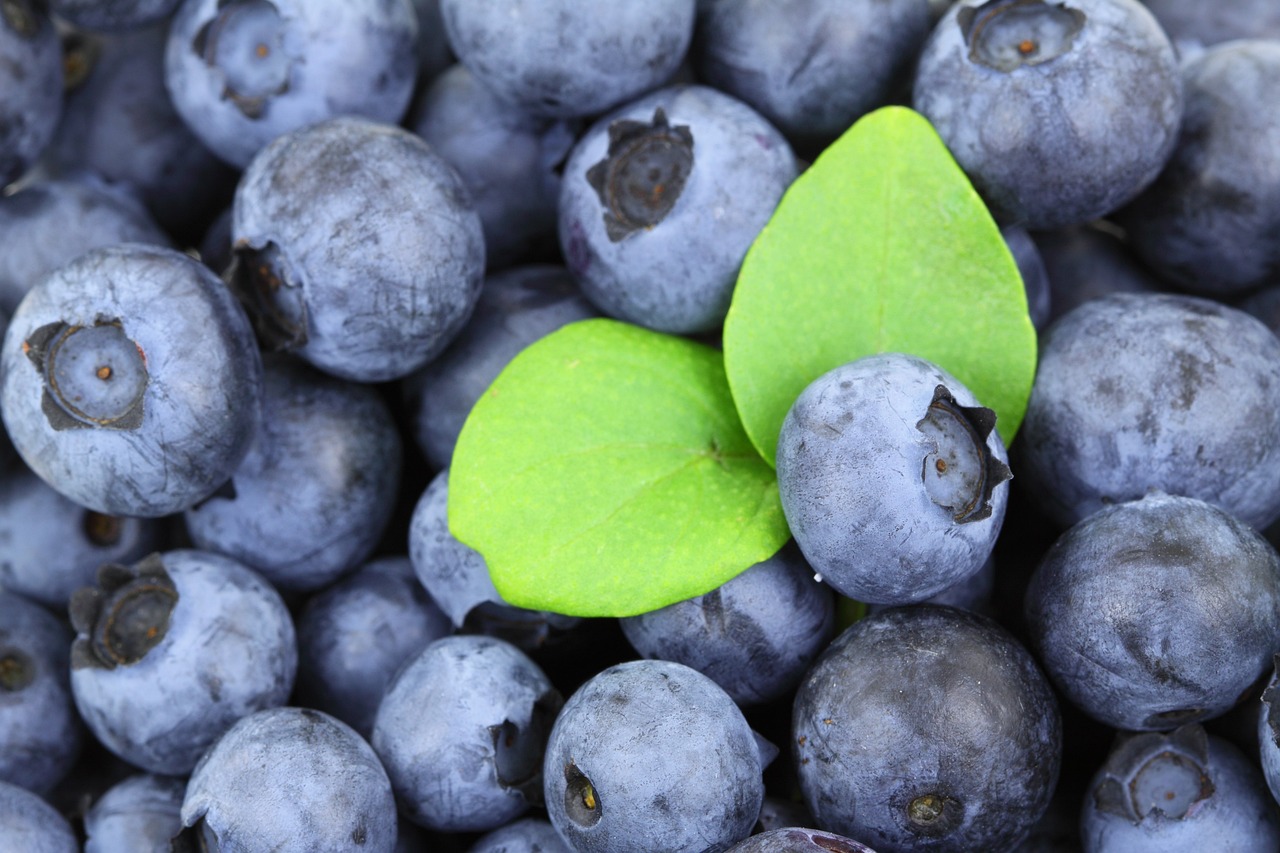 Blueberry: Si Kecil Penuh Makna Nggak Kaleng-kaleng untuk Otak Lo!