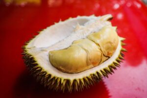 olahan durian