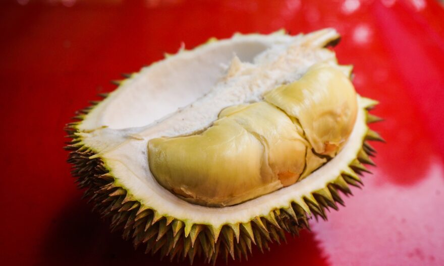 olahan durian