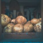 Tips kentang cepat matang