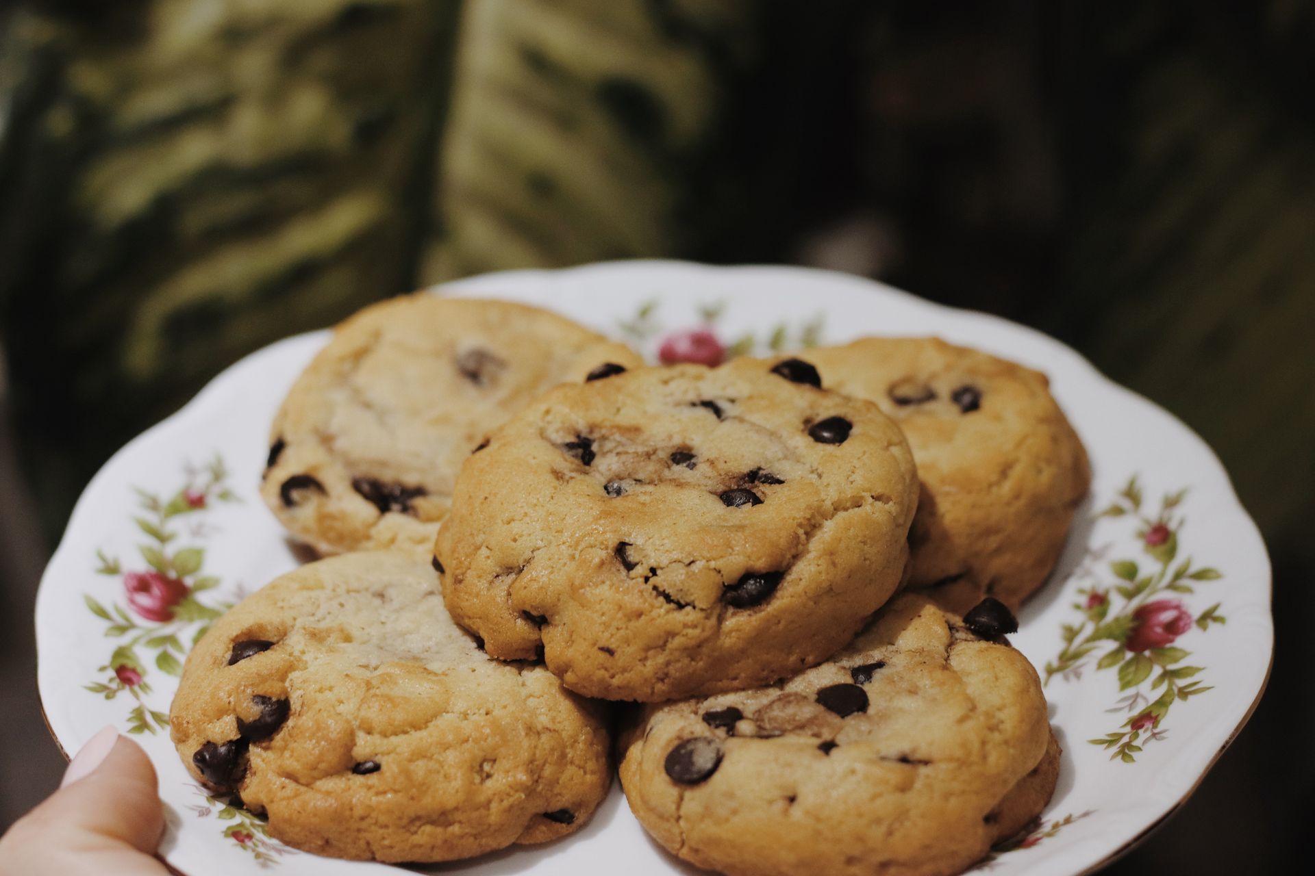 Membuat soft cookies